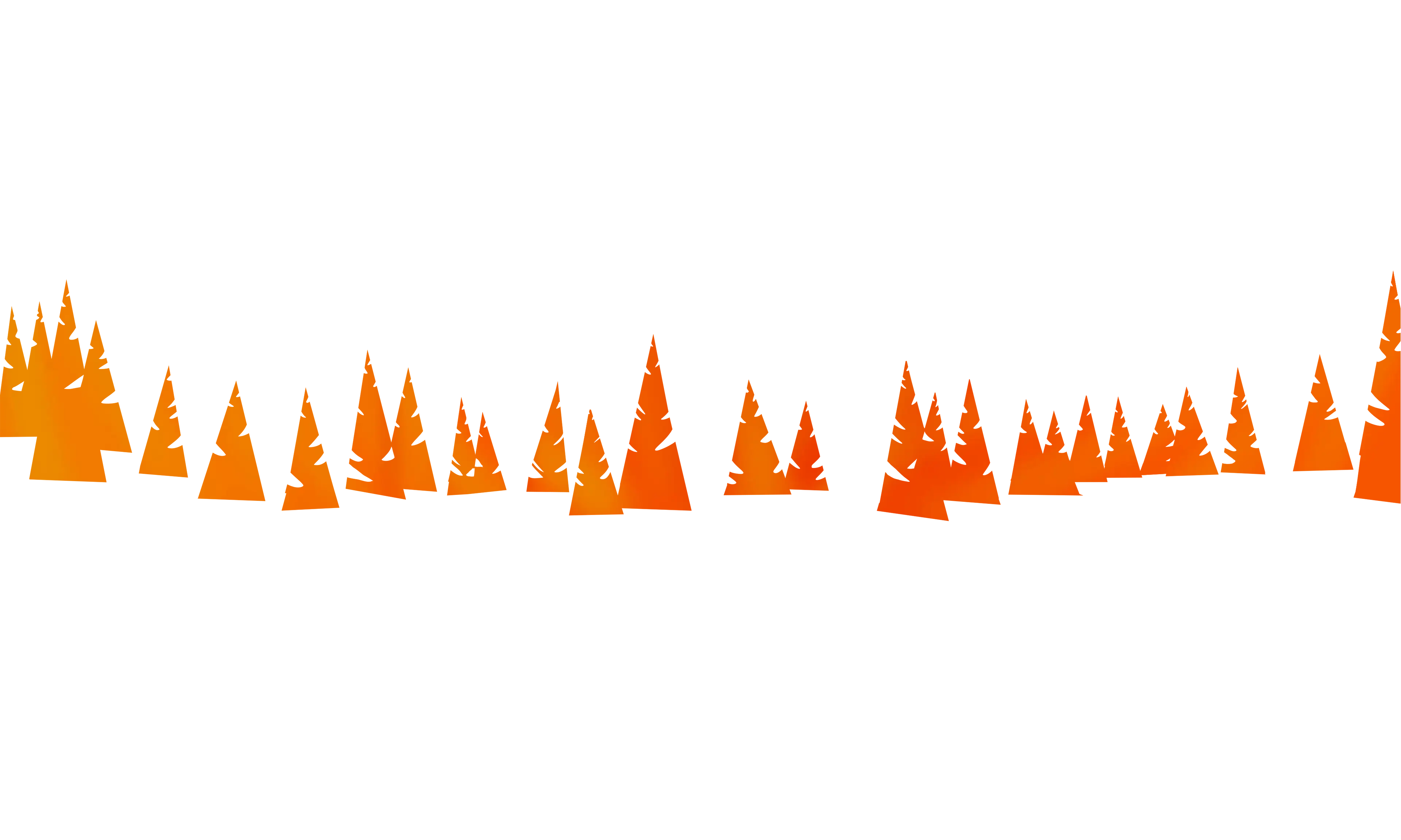 sapin1